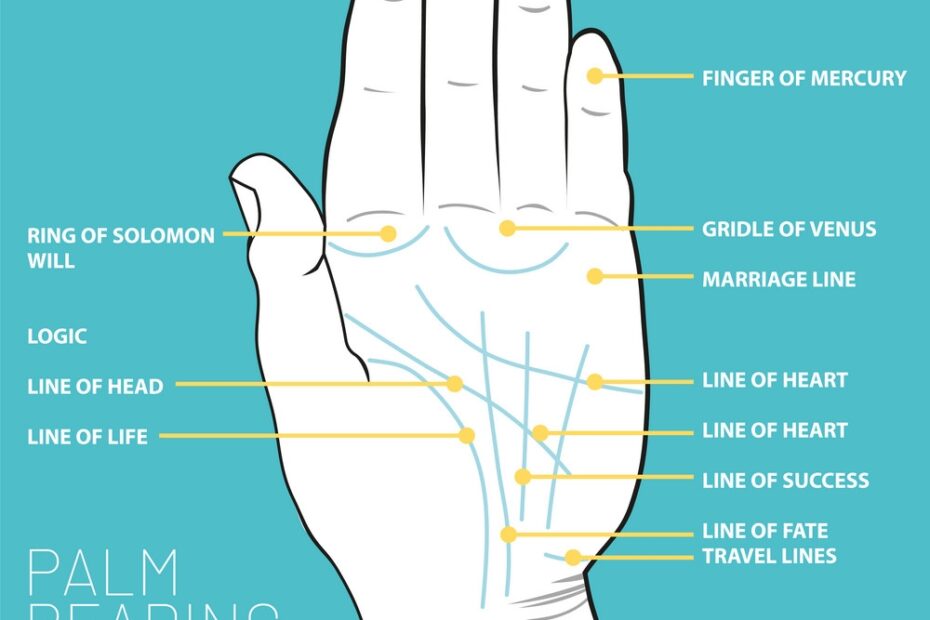 Palm Reading Chart And Meanings