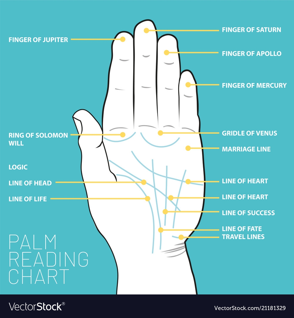 Palm Reading Chart Printable Palm Reading Chart Printable
