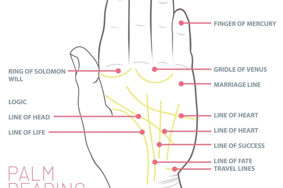 Palm Reading Chart Printable