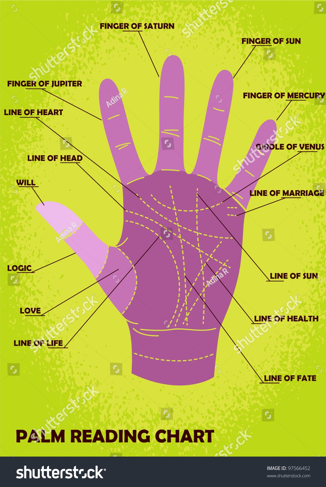 Palm Reading Chart Showing Explanations Stock Vector Illustration 
