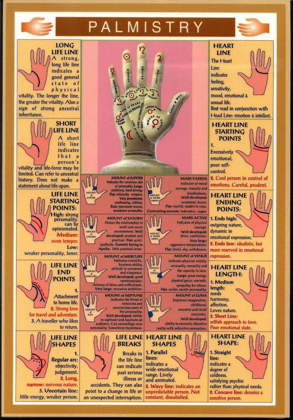 palm chart palm chart