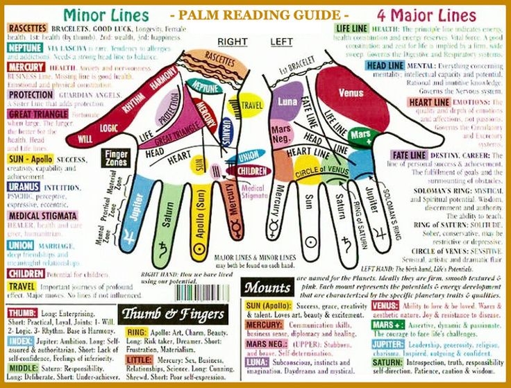 Palm Reading Guide Lines Mounts Fingers Palm Reading Palm 