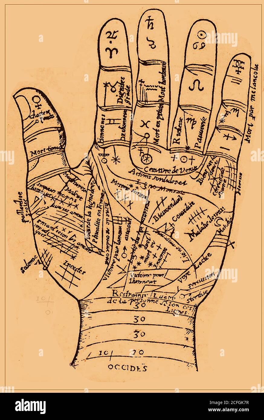 Palmistry Chiromancy Cheiromancy Palm Reading Chirology An 
