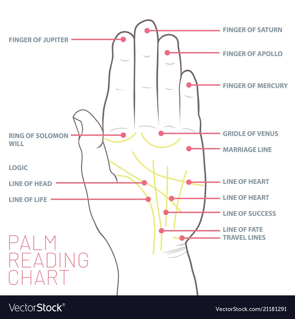 Palmistry Diagram Palmistry Chart Foretelling Alamy Future T