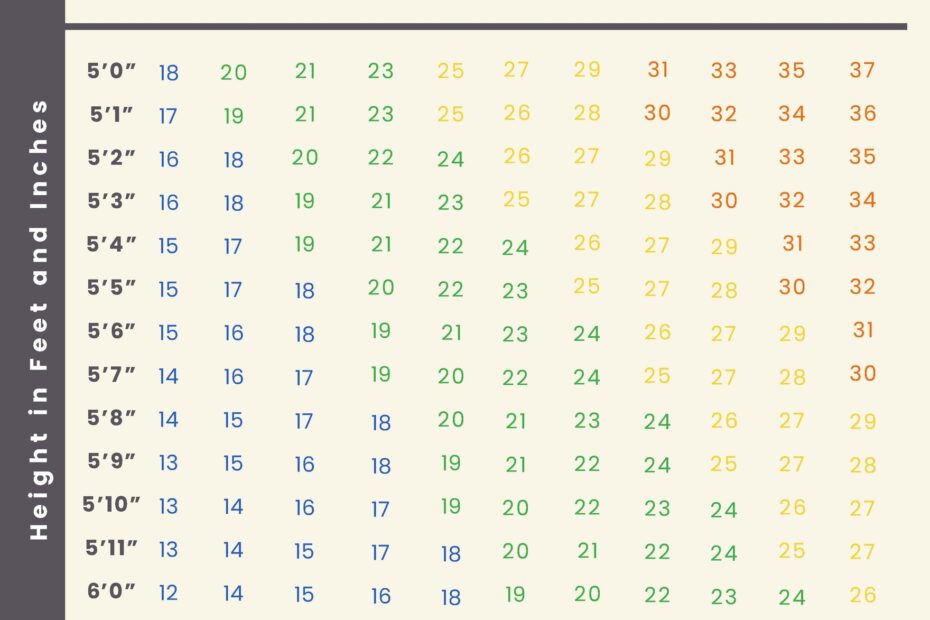 Pediatric BMI Chart PDF Template