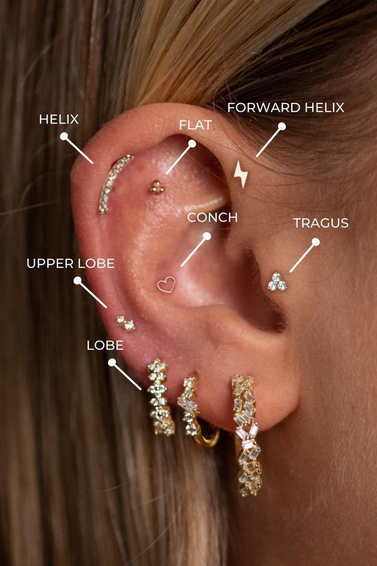 Piercing Placements You Will Love Cool Ear Piercings Earings 