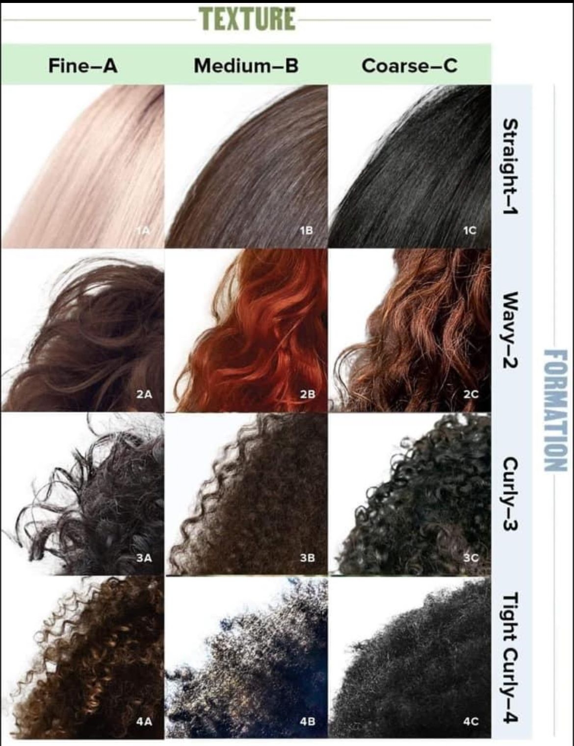 Pin By Janice Bergstrom On Hair Types Of Curls Curly Hair Care Pin By Janice Bergstrom On Hair Types Of Curls Curly Hair Care