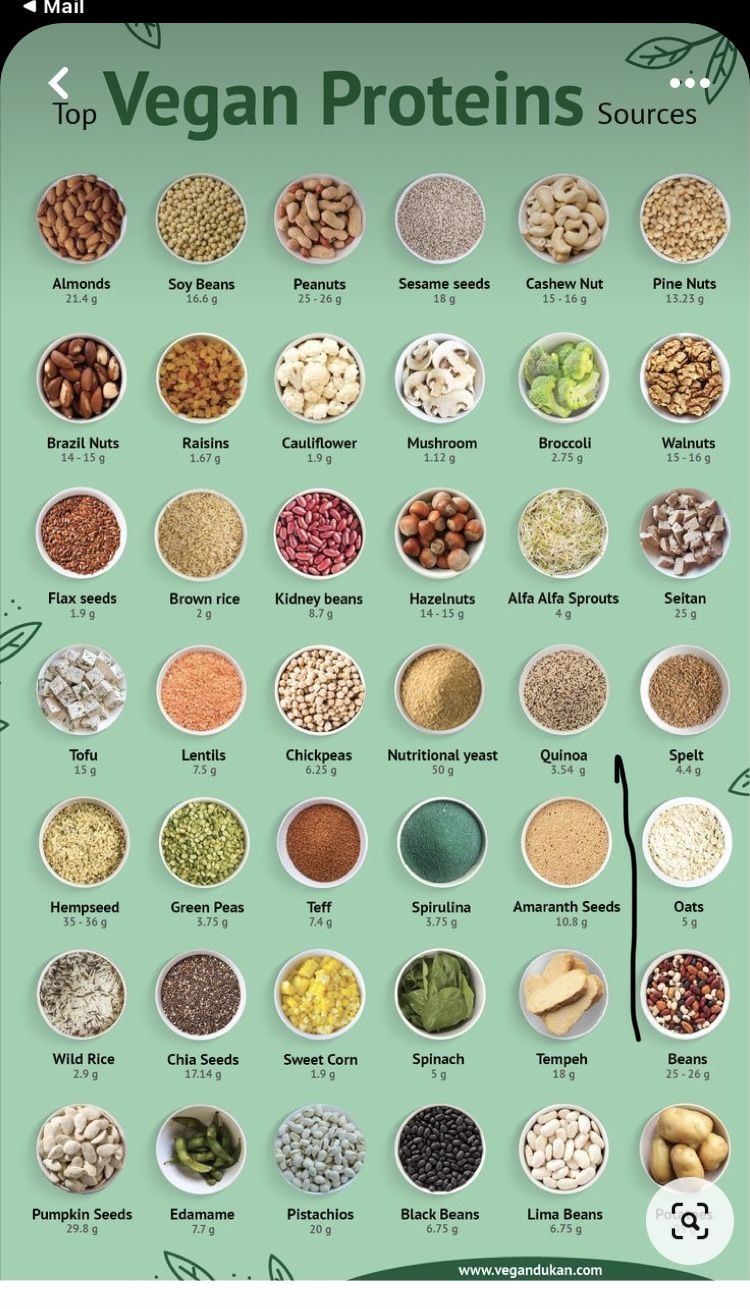 vegetarian protein sources chart vegetarian protein sources chart