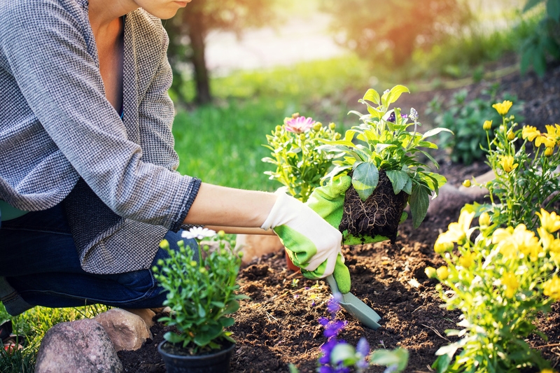 planting companion chart