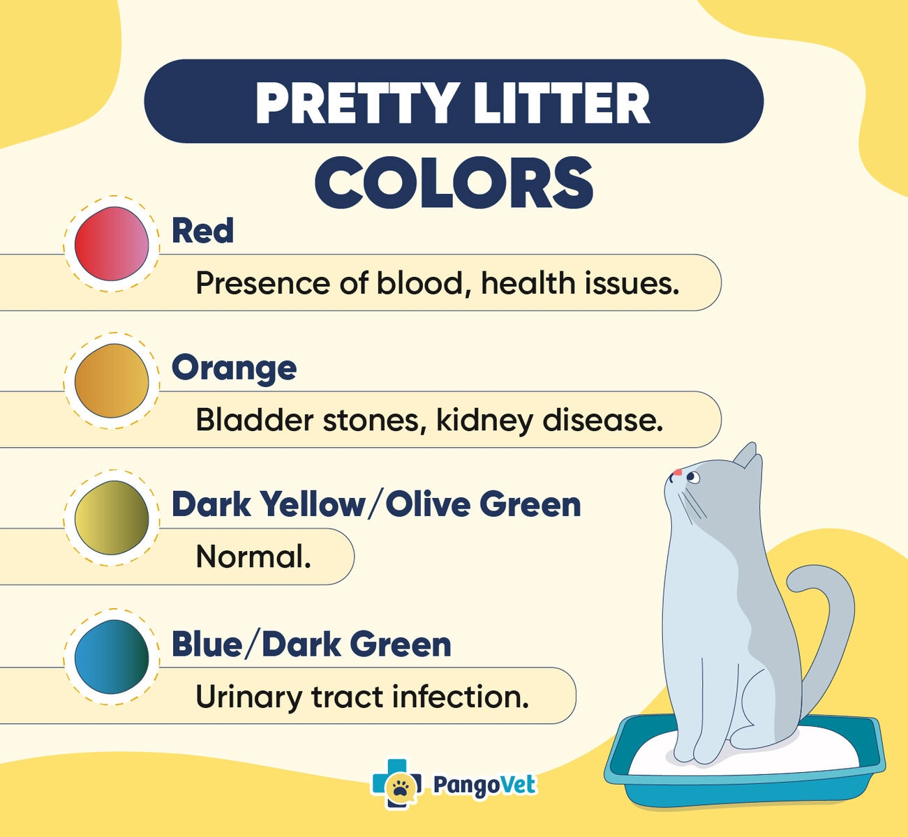 Pretty Litter Colors How To Monitor Your Cat 39 s Health With 
