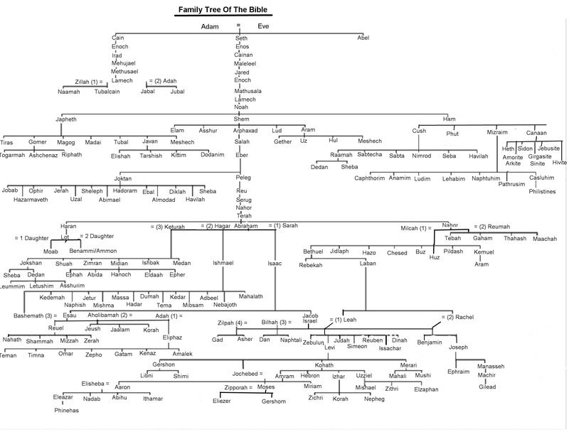 Printable Bible Family Tree
