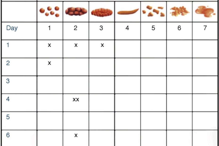 Printable Bristol Stool Chart