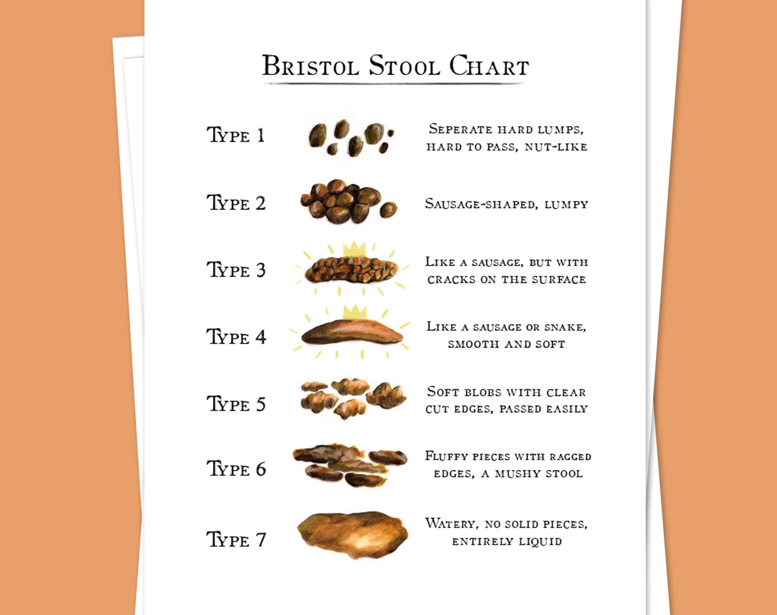 Printable Bristol Stool Scale