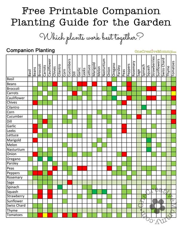 companion gardening chart companion gardening chart