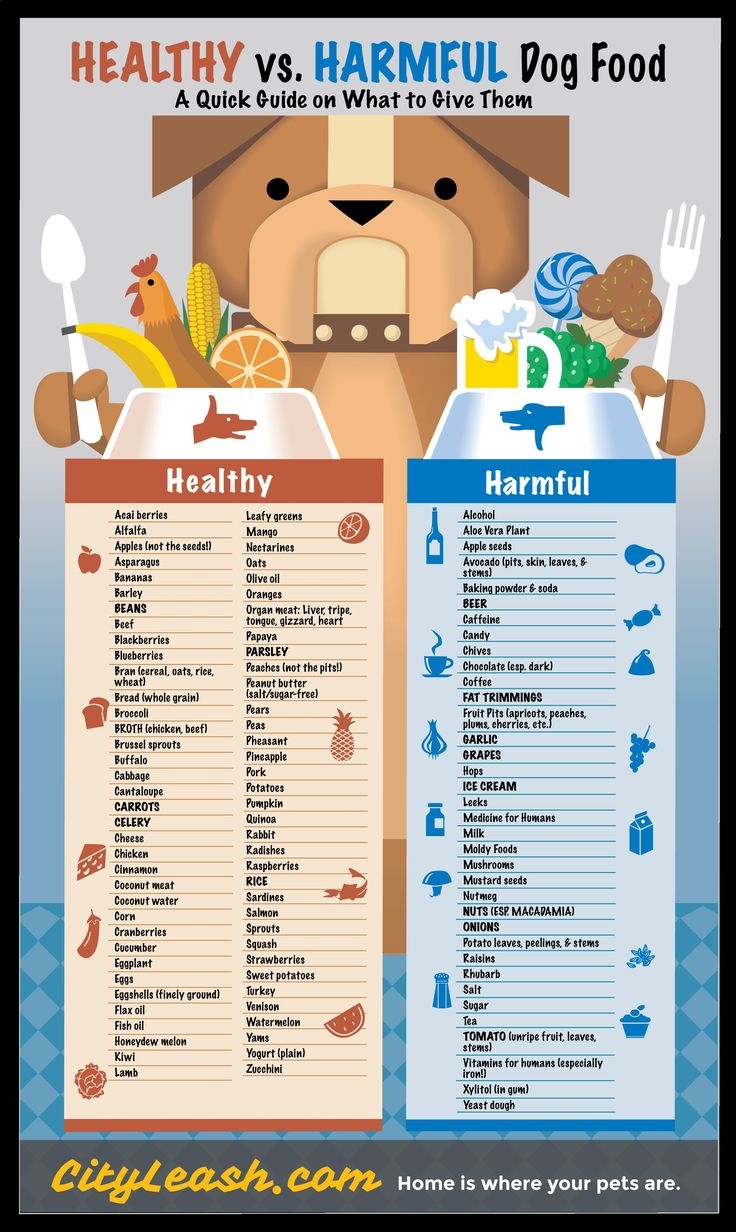 Printable Dog Safe Food Chart
