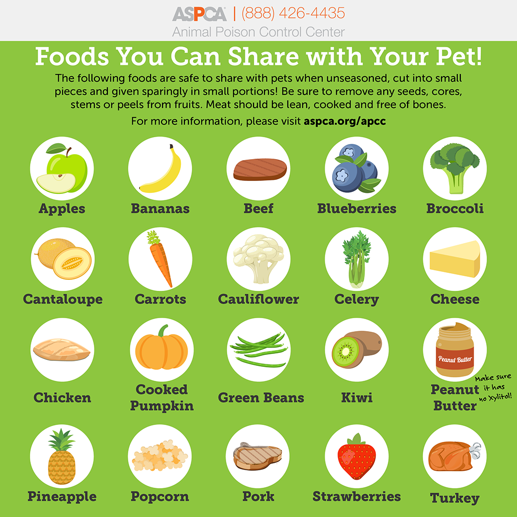 dog safe food chart dog safe food chart