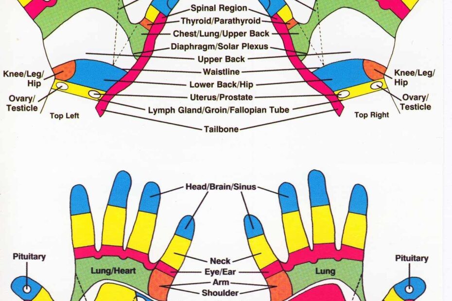 Printable Hand Reflexology Chart