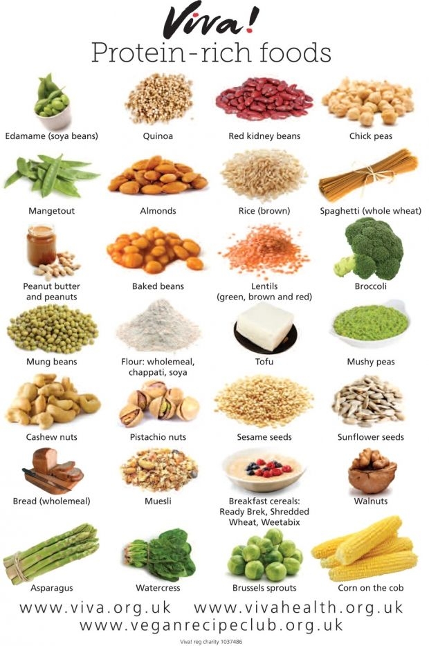 Printable High Protein Food List