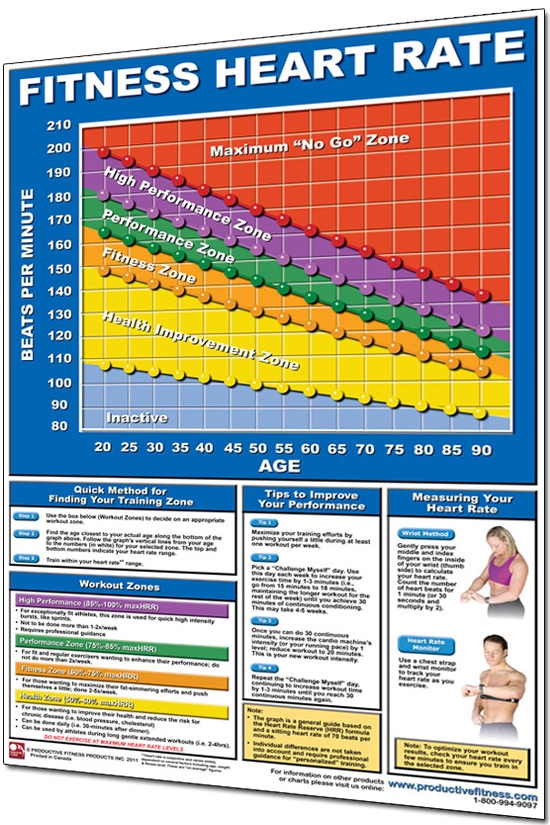 Productive Fitness 24 X 36 Laminated Fitness Poster Wall Chart 