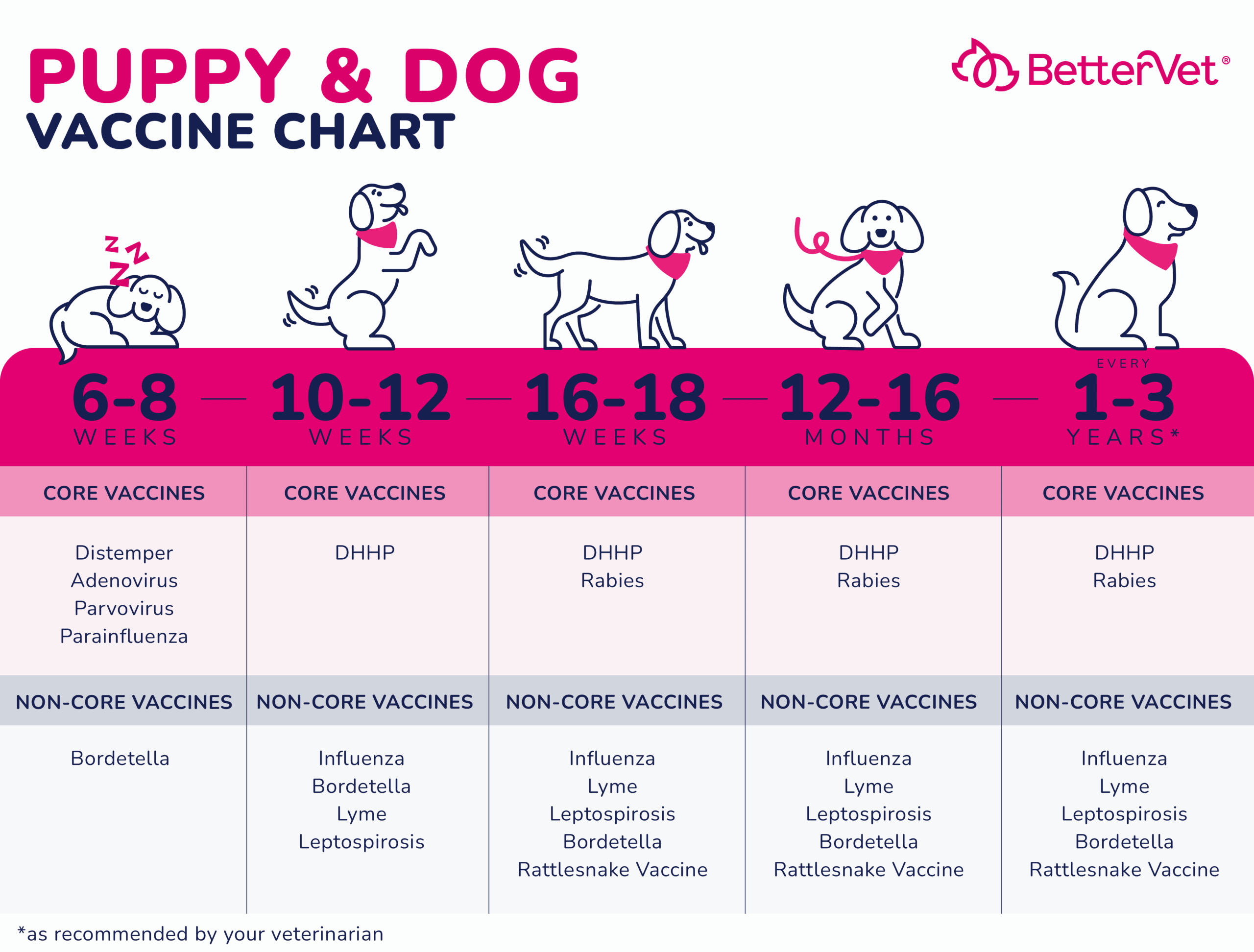 Puppy And Dog Vaccinations Schedule Types And Side Effects