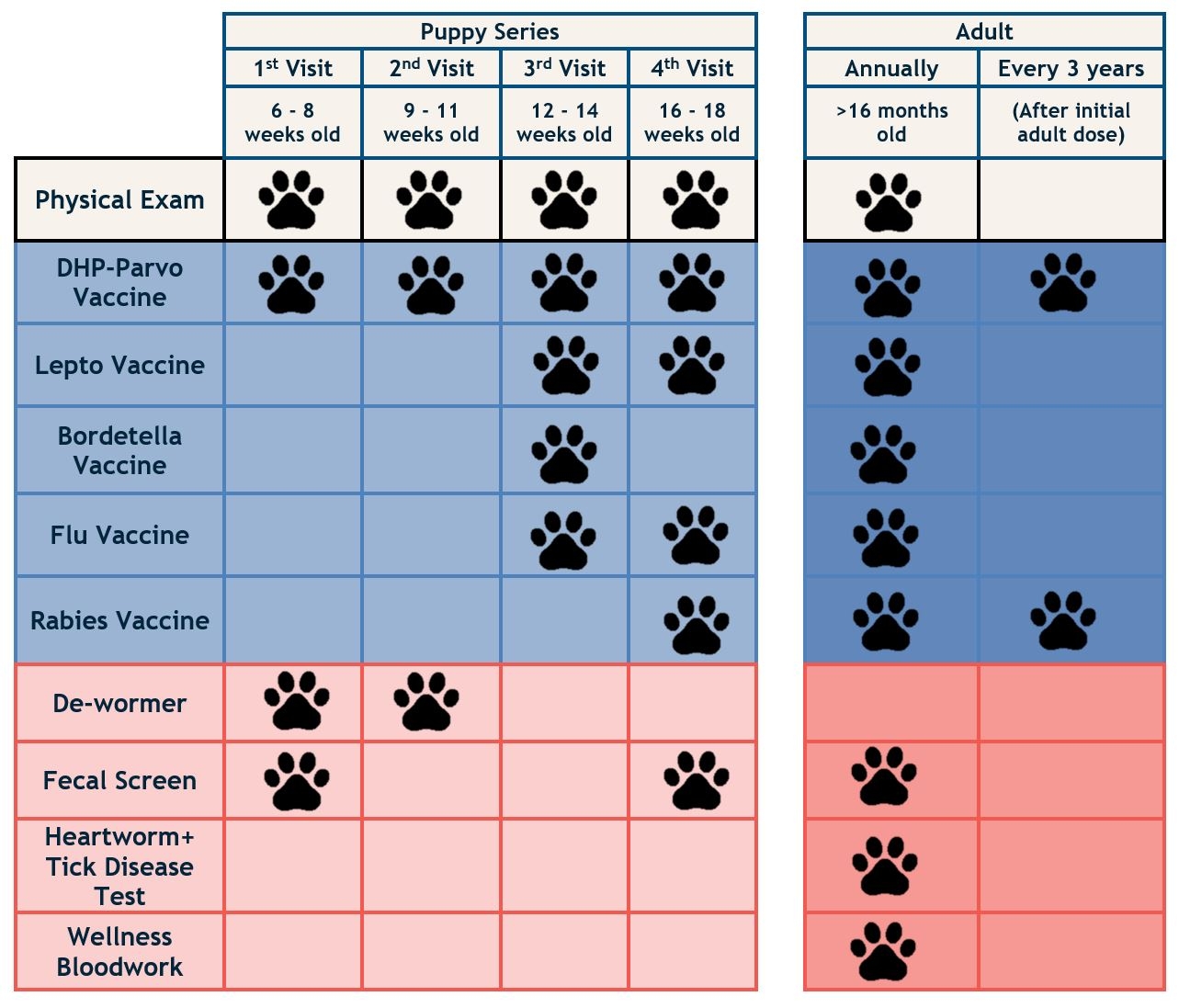 Puppy Shot Schedule Chart Sales Cheap Brunofuga adv br