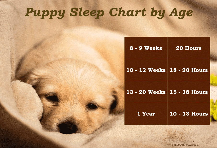 Puppy Sleep Chart By Age Download Printable PDF Templateroller
