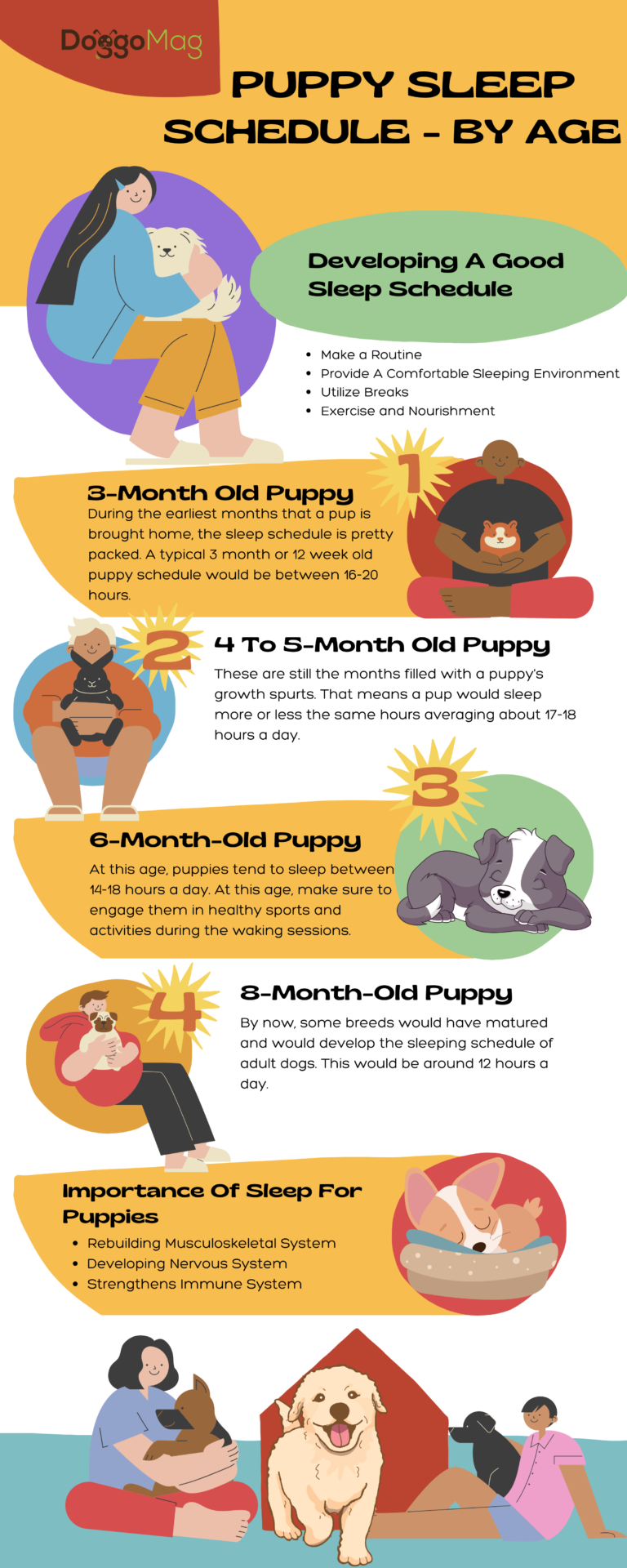 Puppy Sleep Schedule By Age 3 4 5 6 And 8 Months DoggoMag