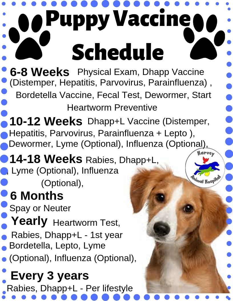 Puppy Vaccination Chart Printable
