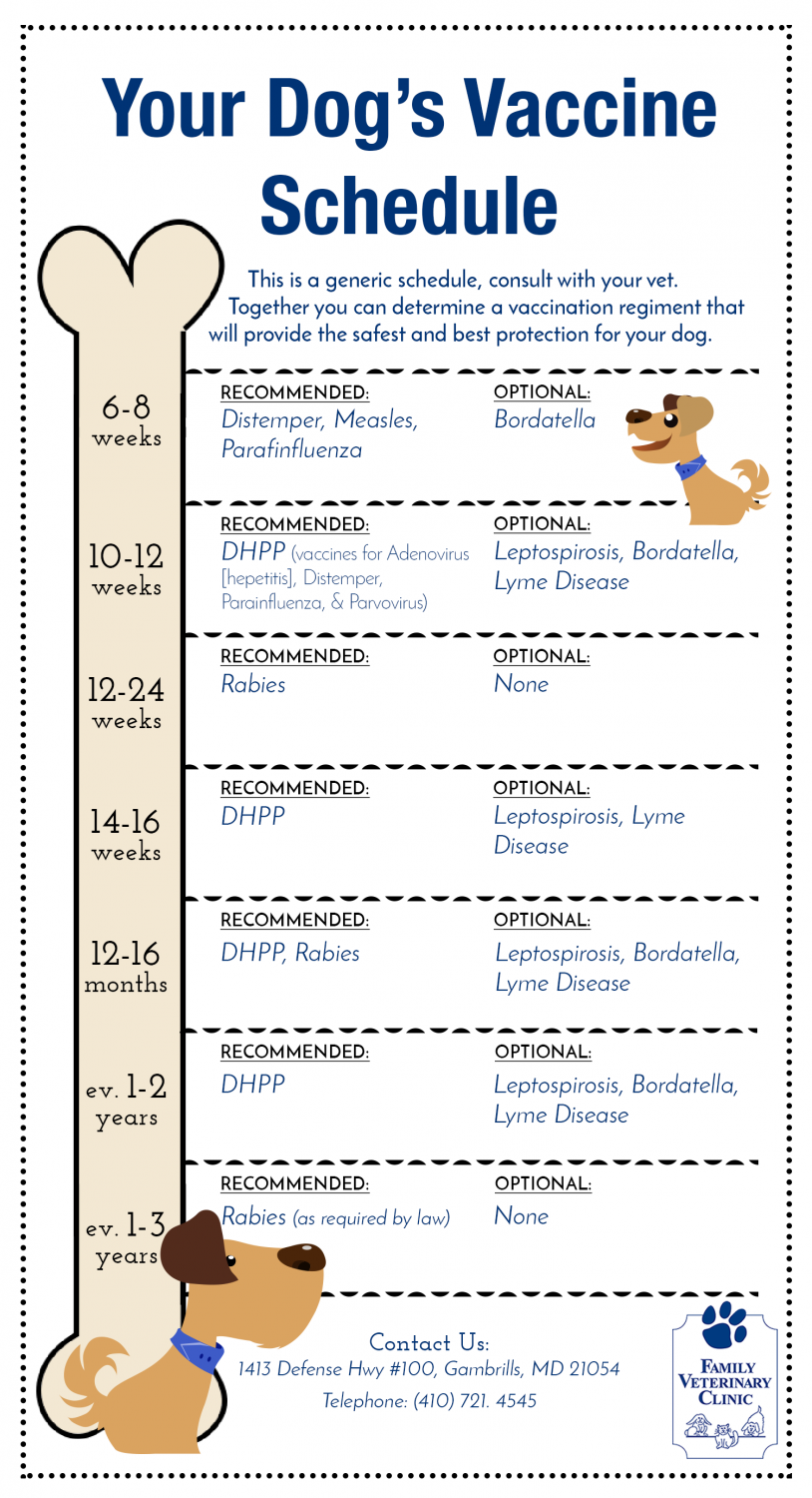 Puppy Vaccination Chart Printable