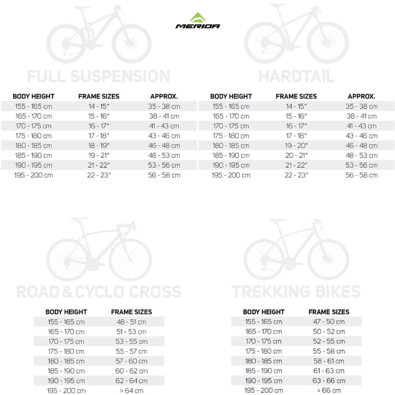 Racing Bike Size Guide Online