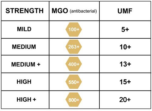 Raw Manuka Honey 100 Australian Wild Bio Active Honey