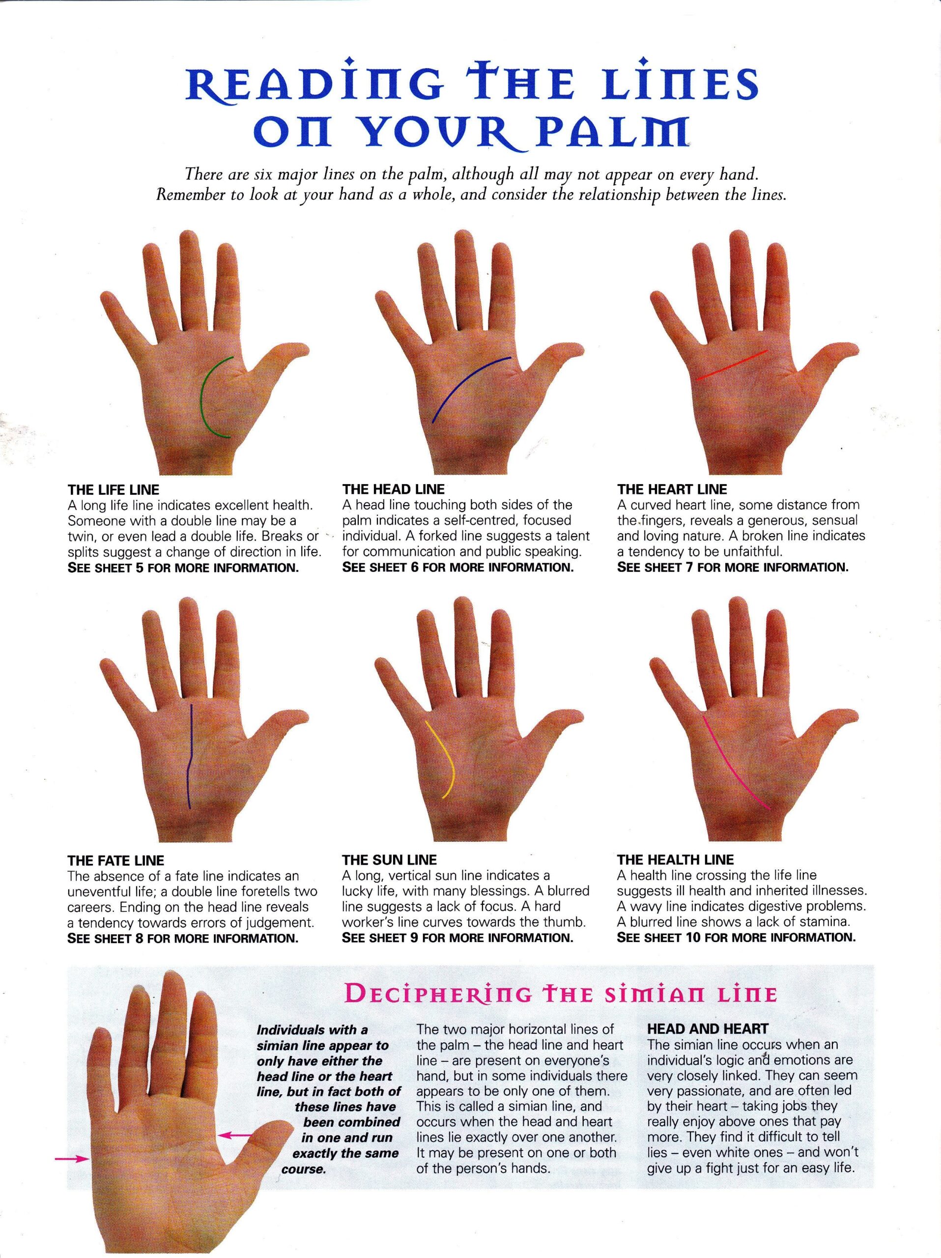 Reading The Lines On Your Palm Palmistry Palm Reading Reading