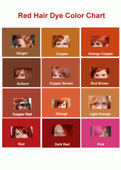 shades of red hair chart shades of red hair chart
