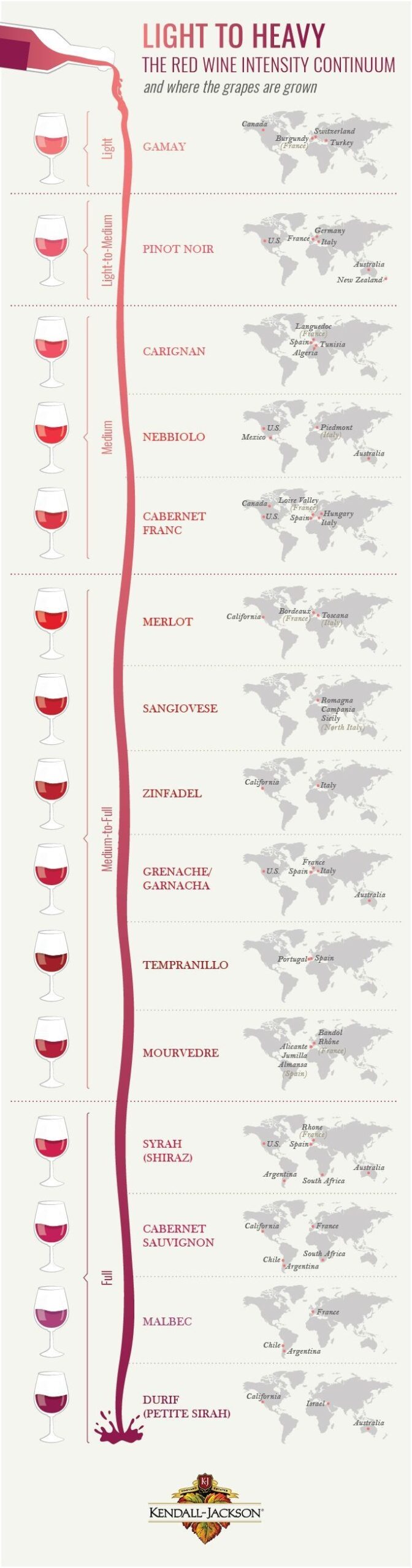 Red Wine Types And More The Basics Of Red Wines Types Of Red Wine 
