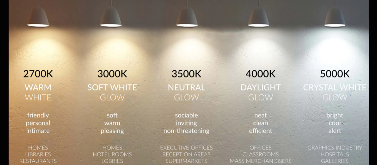 Reveal Light Bulb Color Temperature At Saturnina Whiteside Blog