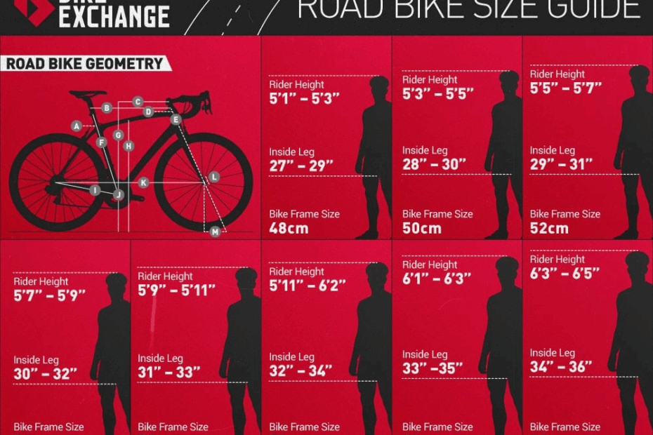 Road Bike Sizing Chart What You Need To Know About Road Bike