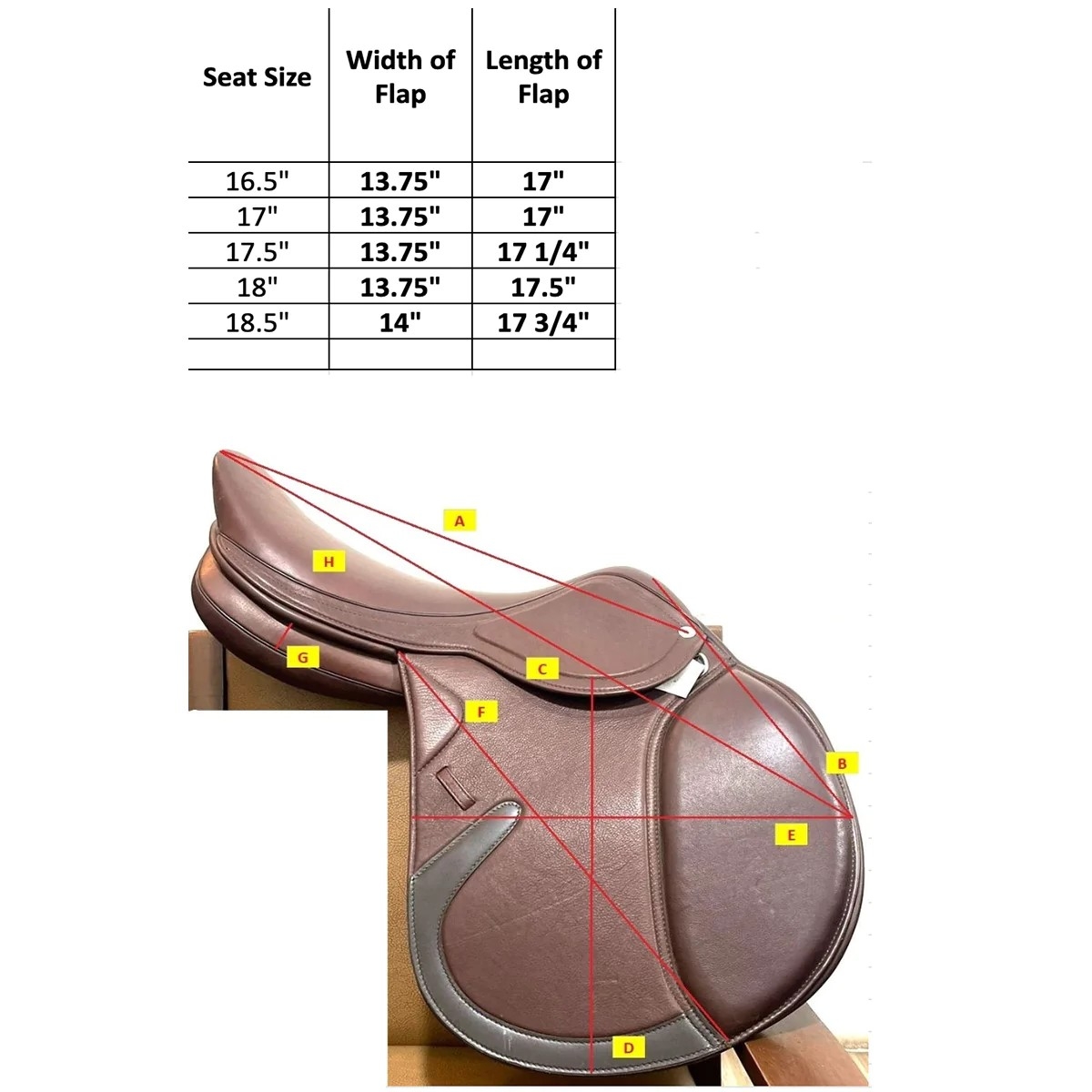 Royal Highness Merida Close Contact Saddle Horseuniver