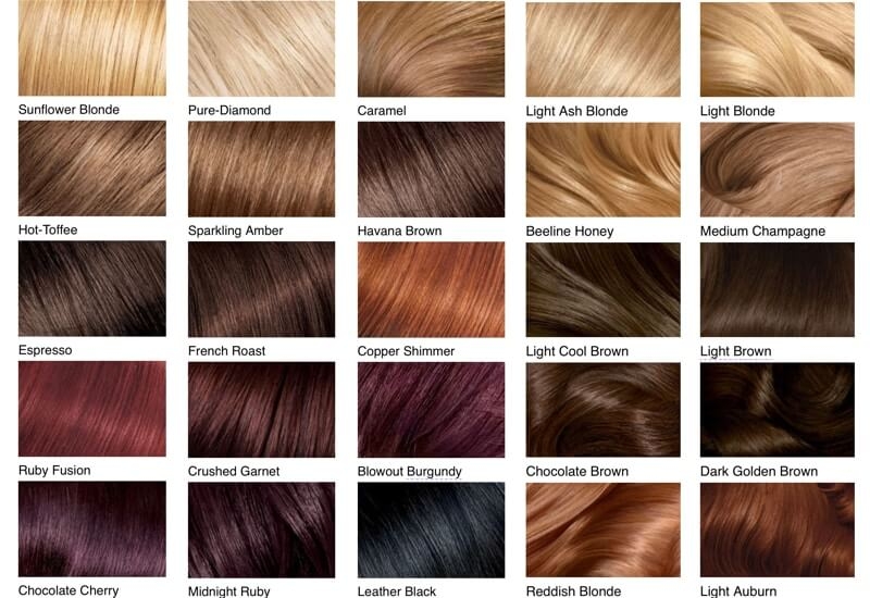 Shades Of Brown Hair Color Chart