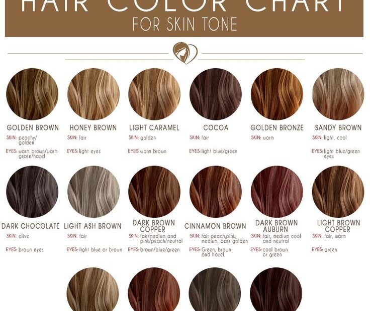 Shades Of Brown Hair Color Chart