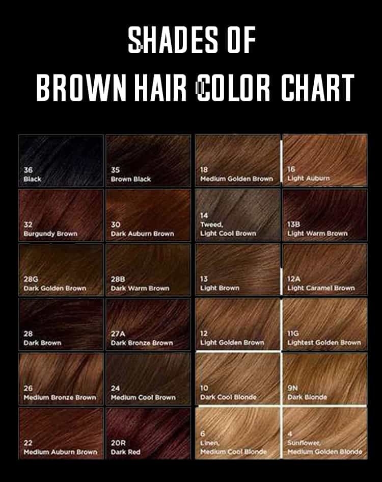 Shades Of Brown Hair Color Chart min Brown Hair Shades Brown Hair 