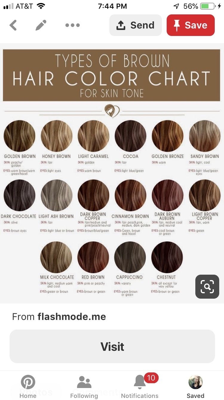 Shades Of Brown The Ultimate Brunette Hair Color Chart Artofit