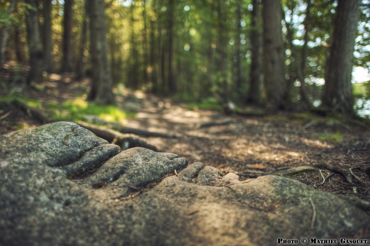 Shallow Depth Of Field In Landscape Photography A Leica M 240 Gallery