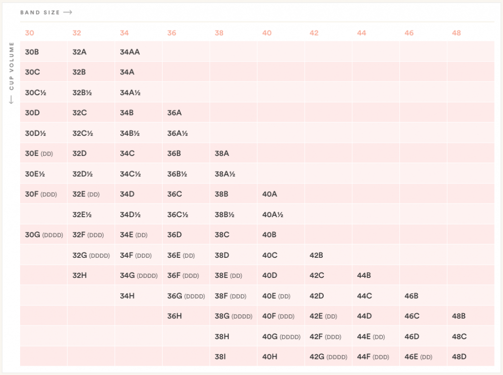 Sister Sizes The Bra Secret Every Woman Should Know Bra Size Charts 