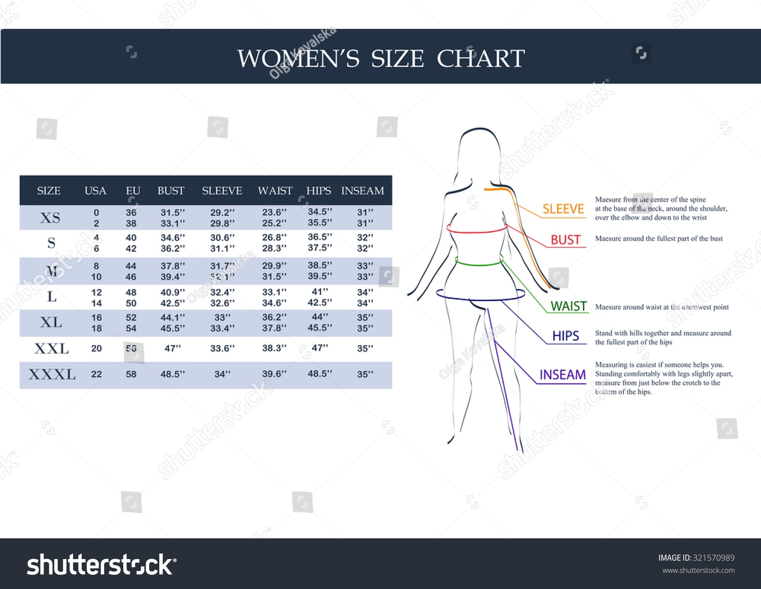 Size Chart Women Measurements Clothing Female Stock Vector Royalty 