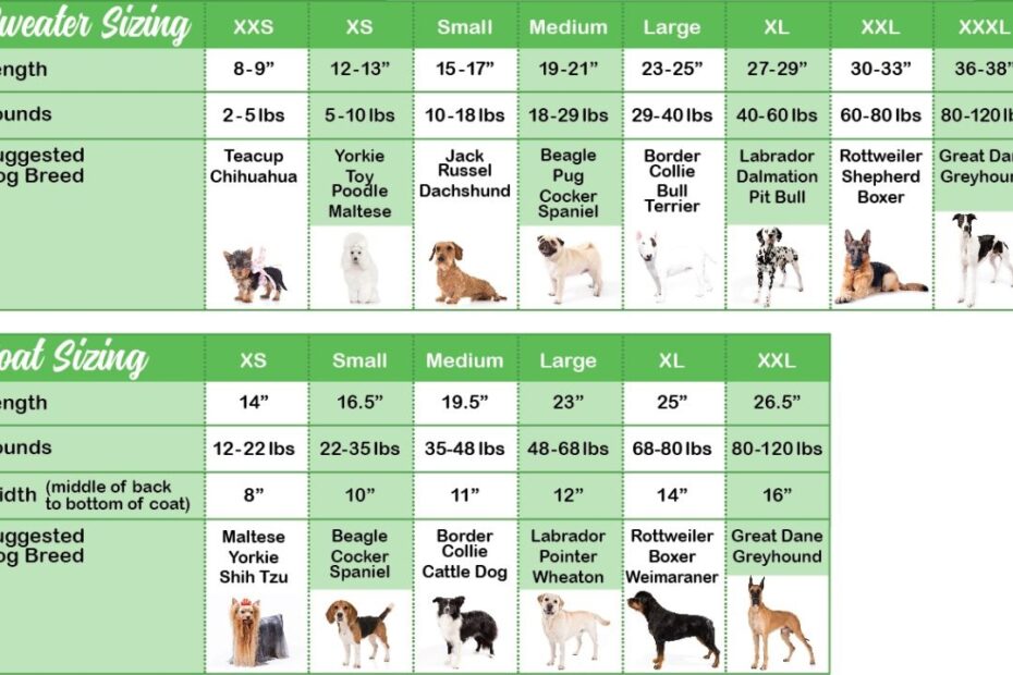 Sizing Chart Chilly Dog Sweaters