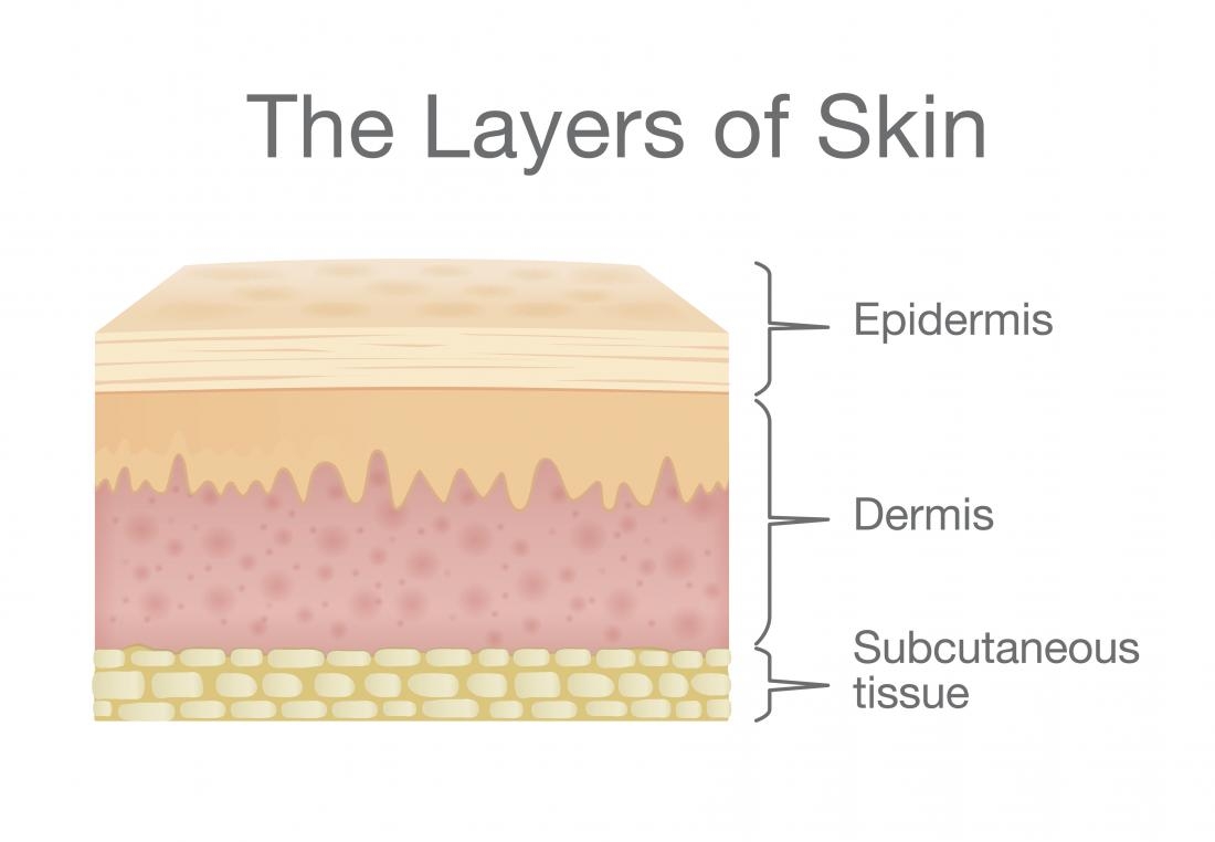 skin undertones chart skin undertones chart