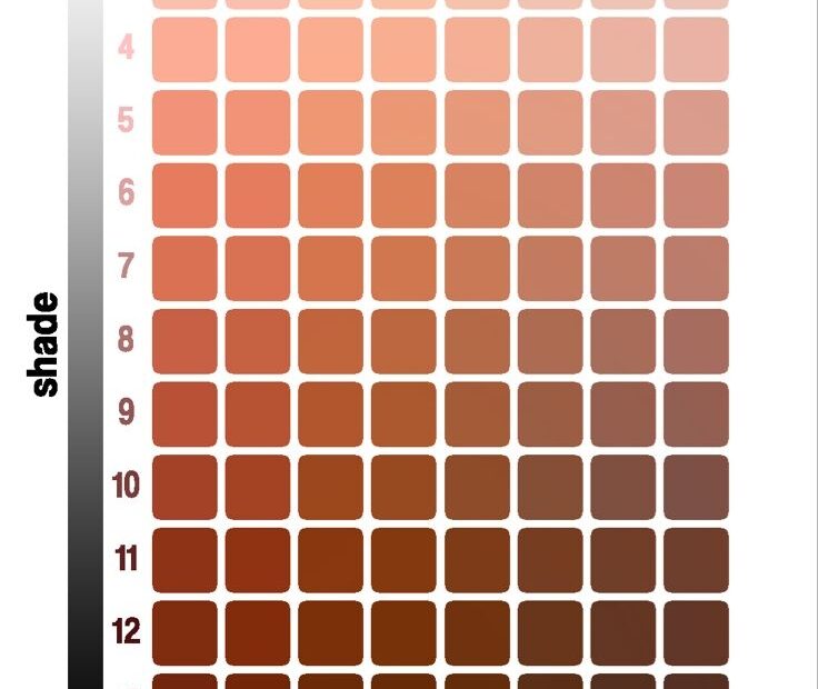 Skin Tone Guide Master Shades And Undertones