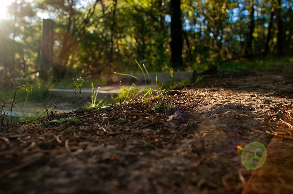Soil Tina Reynolds Flickr