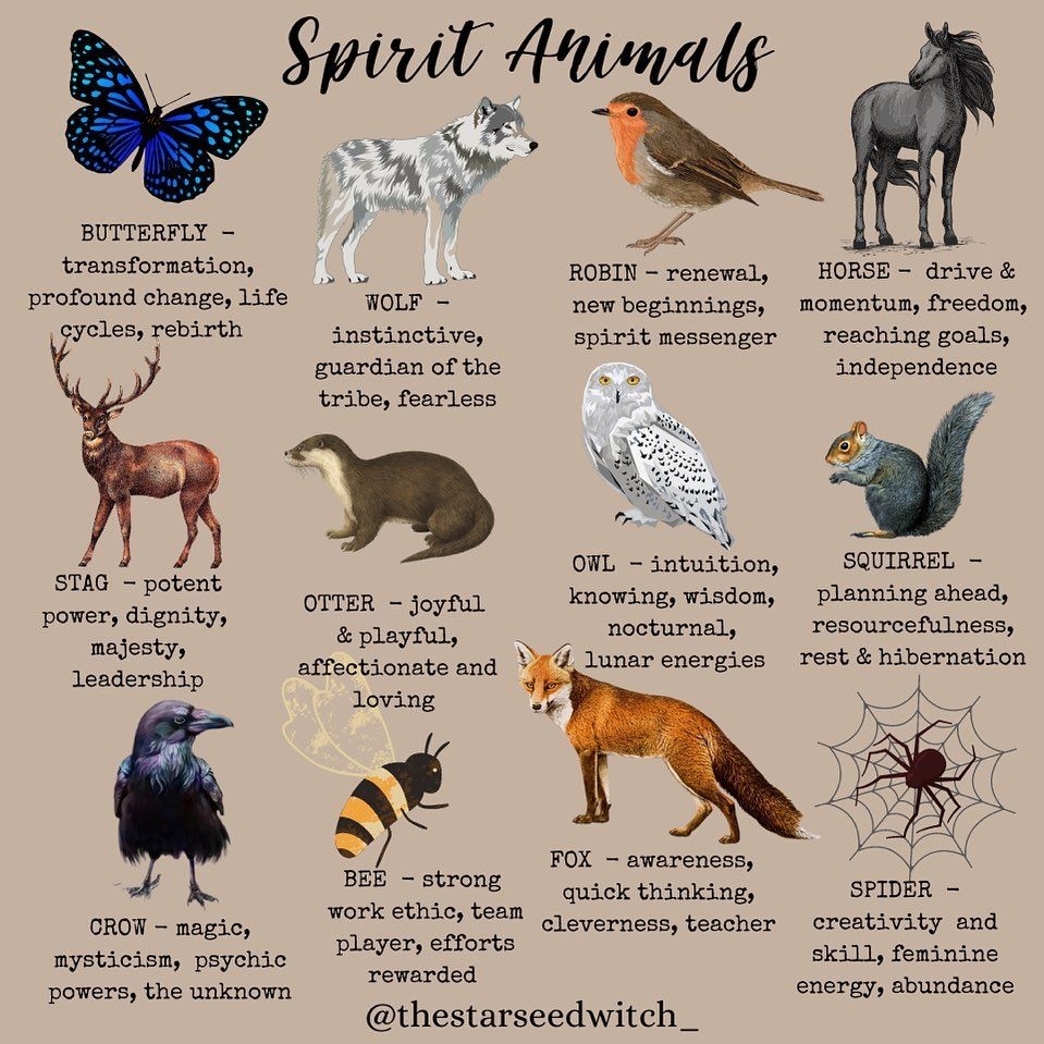 Spirit Animal Birthday Chart Educational Chart Resources