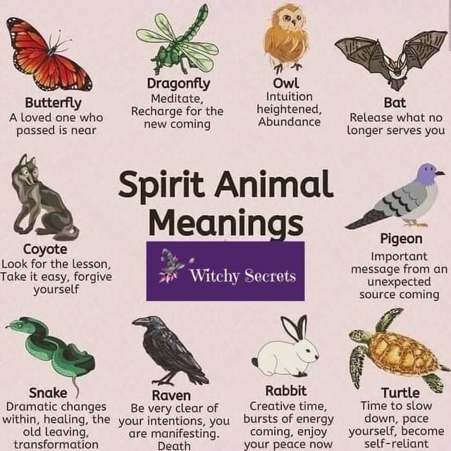 Spirit Animal List A Complete Spirit Animal List And Meanings Artofit